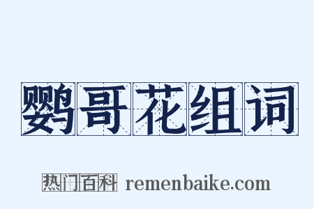 鹦哥花组词是什么意思的图片